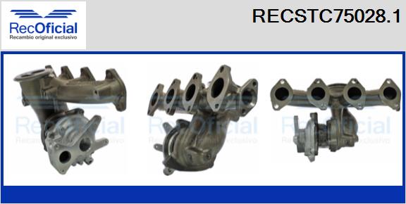 RECSTC75028.1