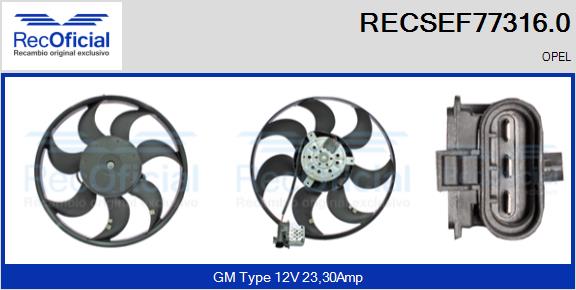 RECSEF77316.0