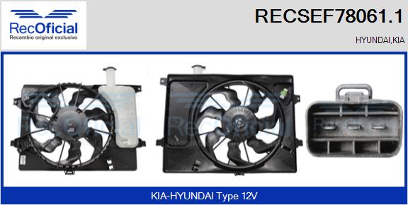 RECSEF78061.1