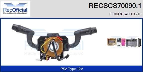 RECSCS70090.1