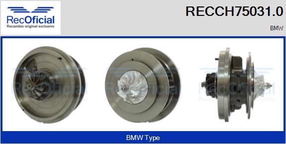 RECCH75031.0