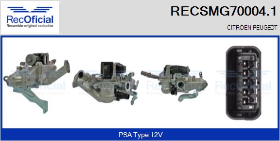 RECSMG70004.1
