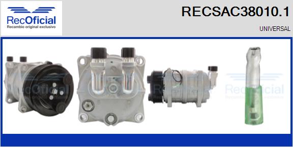 RECSAC38010.1