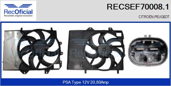 RECSEF70008.1