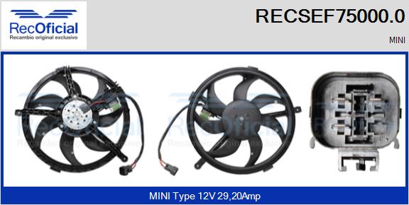 RECSEF75000.0