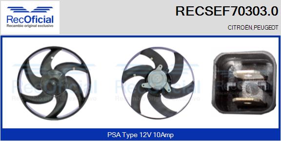 RECSEF70303.0