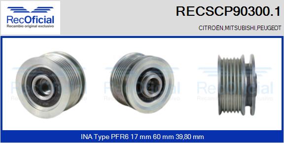 RECSCP90300.1