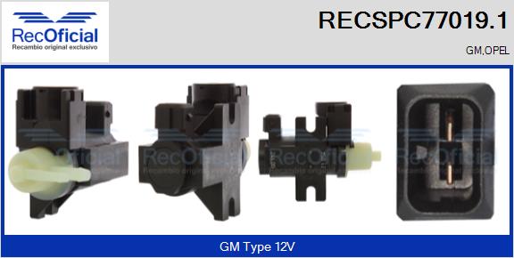 RECSPC77019.1