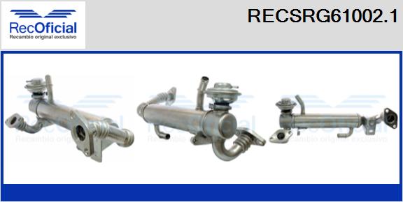 RECSRG61002.1