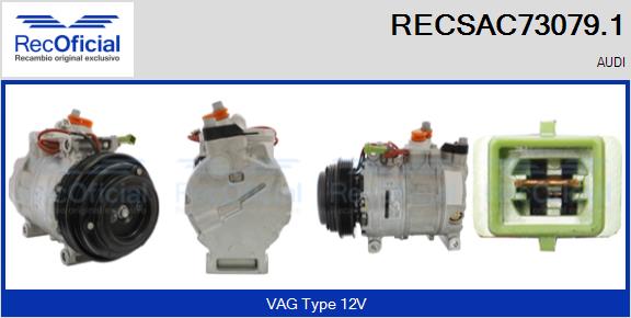 RECSAC73079.1