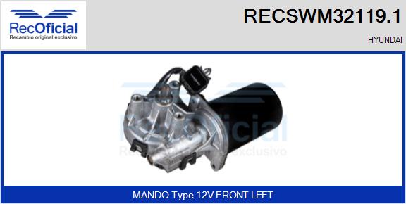 RECSWM32119.1