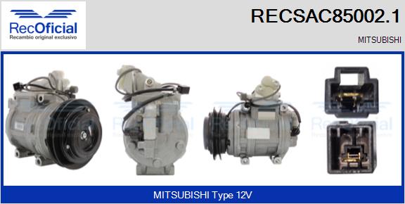 RECSAC85002.1