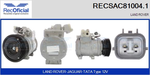 RECSAC81004.1