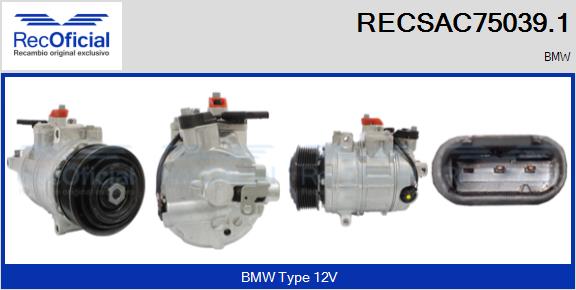 RECSAC75039.1