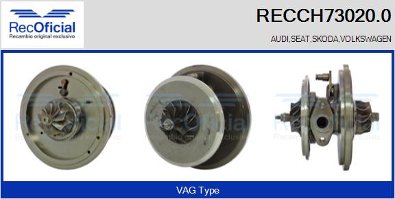 RECCH73020.0