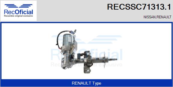 RECSSC71313.1