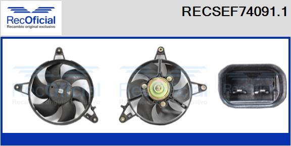 RECSEF74091.1