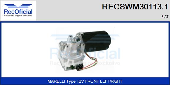 RECSWM30113.1