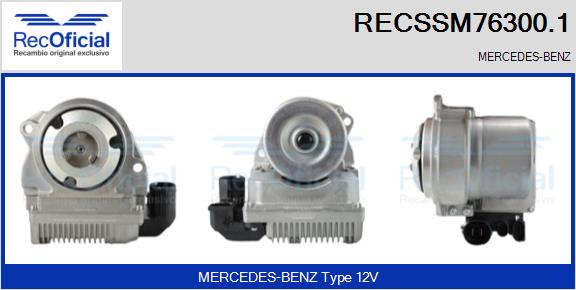 RECSSM76300.1