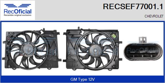 RECSEF77001.1