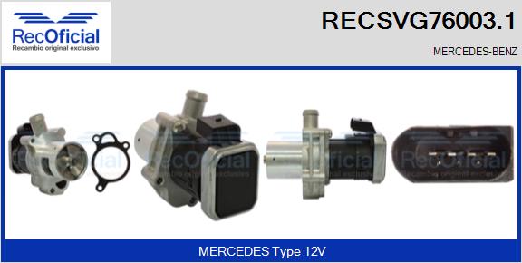 RECSVG76003.1