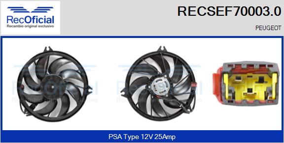 RECSEF70003.0