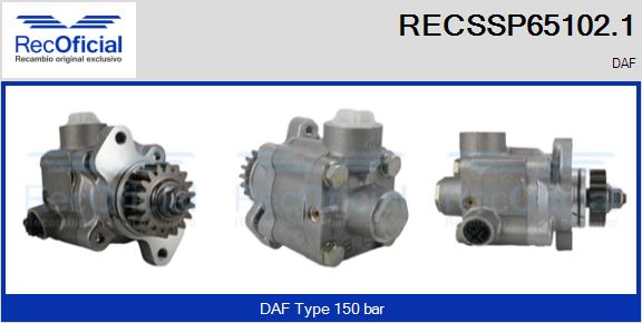 RECSSP65102.1