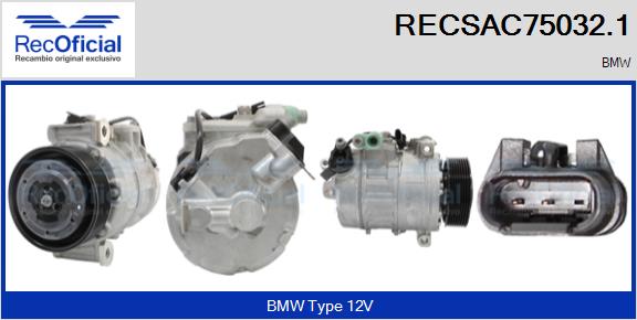RECSAC75032.1