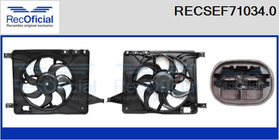 RECSEF71034.0