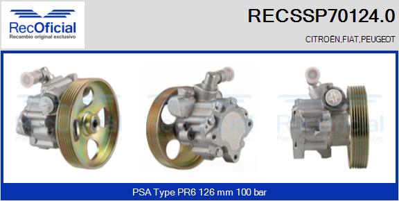 RECSSP70124.0