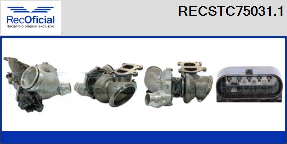 RECSTC75031.1
