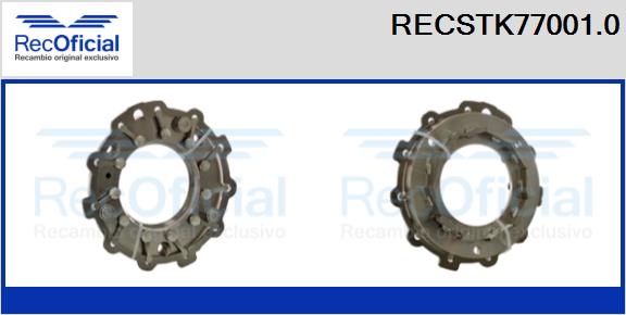 RECSTK77001.0