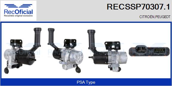 RECSSP70307.1