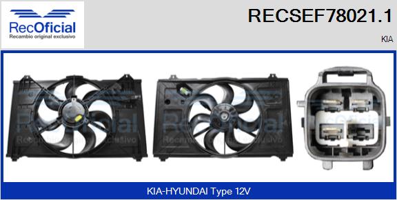 RECSEF78021.1