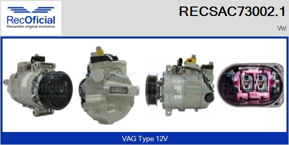 RECSAC73002.1