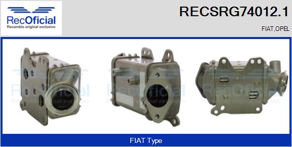 RECSRG74012.1