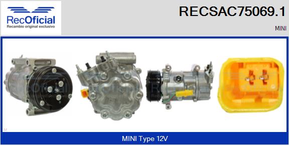 RECSAC75069.1