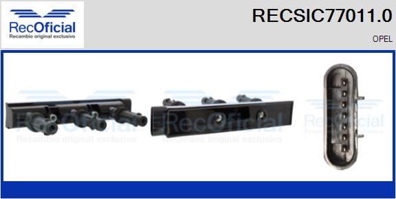 RECSIC77011.0