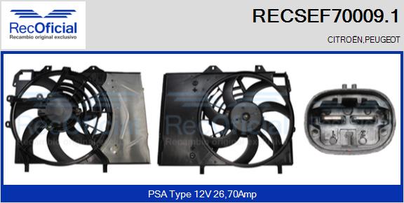 RECSEF70009.1