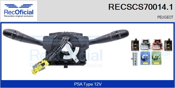 RECSCS70014.1