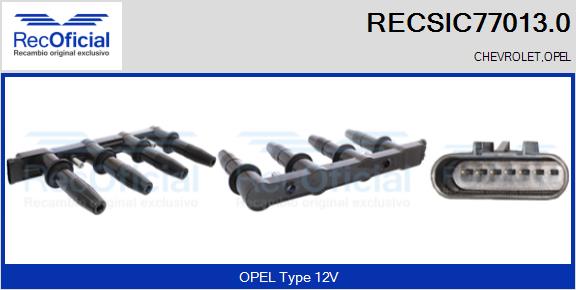 RECSIC77013.0