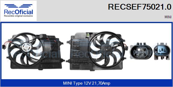 RECSEF75021.0