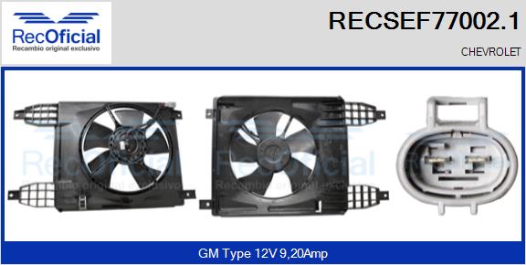 RECSEF77002.1