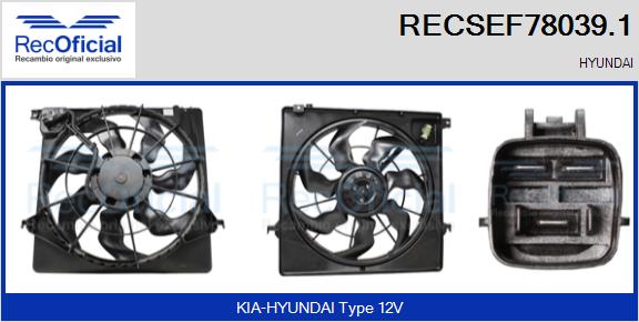 RECSEF78039.1