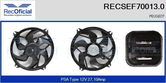 RECSEF70013.0