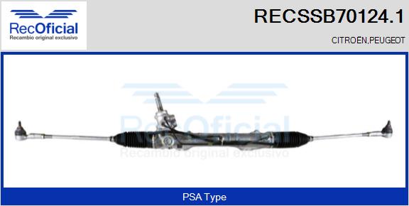 RECSSB70124.1