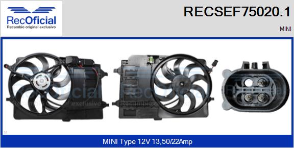 RECSEF75020.1