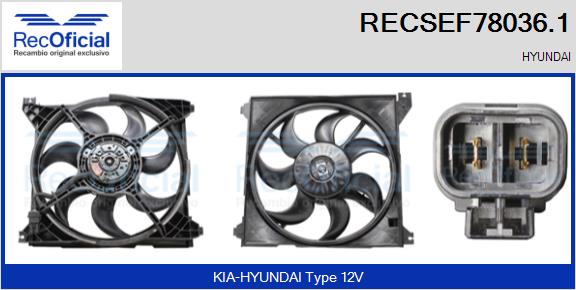 RECSEF78036.1
