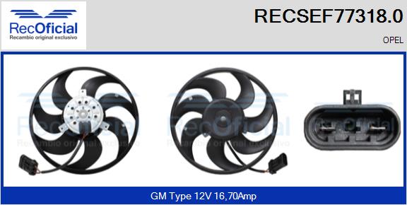 RECSEF77318.0
