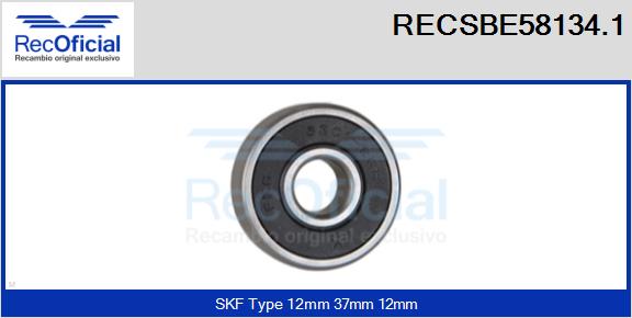 RECSBE58134.1